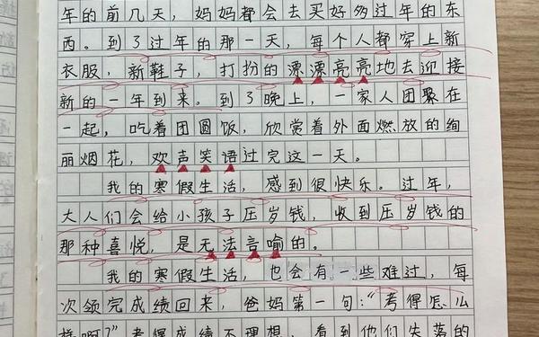 我的假期生活作文300字(寒假作文250)