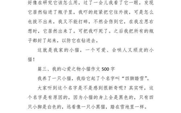 我的心爱之物五年级500字作文(我的心爱之物小猫400字)