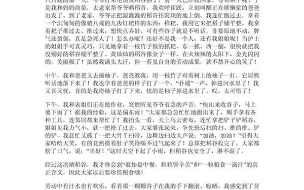 关于劳动的作文800字(高考满分作文劳动议论文)