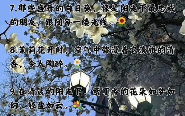 描写花的句子、描写花儿的优美语句