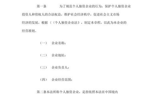个人独资企业章程、2024个人独资公司章程