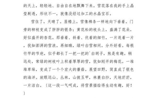 关于雪的作文600字左右;雪作文600字初中