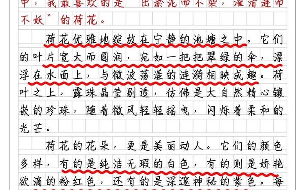 三年级作文100字_9999999999亿个字作文