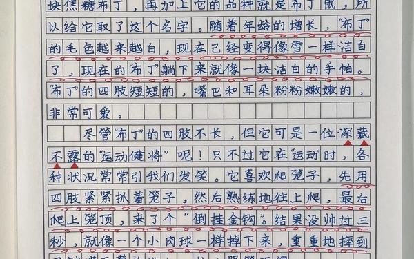 四年级范文《我的动物朋友》,4年级作文我的动物朋友