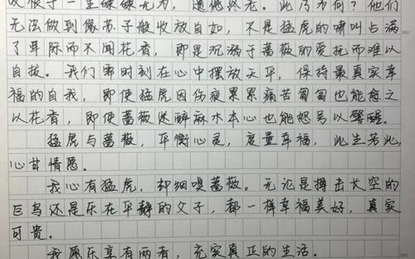 2009年高考作文(2009年高考语文作文)