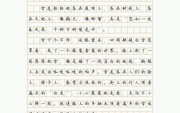 关于雪景的作文—描写下雪的场景作文