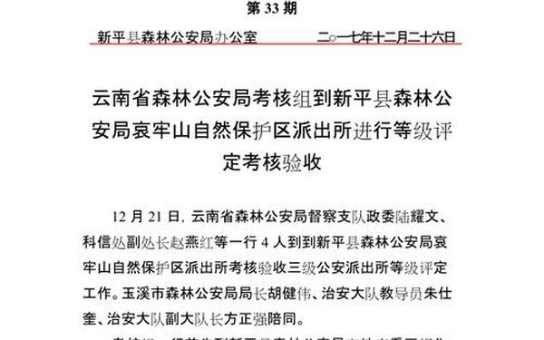 简报格式模板及范文(公文简报范文10篇)