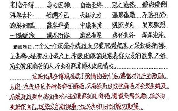 傅雷家书读后感50字(《傅雷家书》读后感)