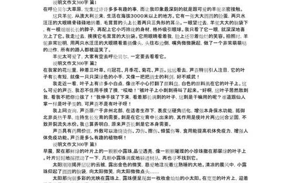 关于说明文的作文,说明文片段