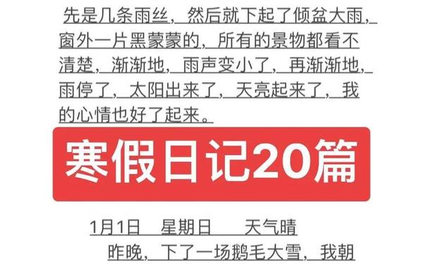 二年级寒假日记大全_二年级寒假日记20篇