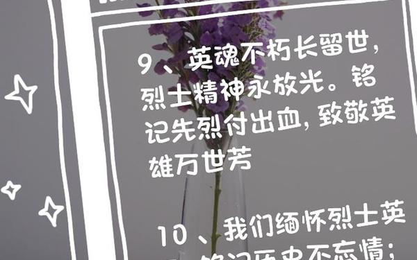 对烈士缅怀和悼念的话,先缅怀还是先致敬