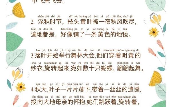 关于秋天的句子(秋天的优美句子摘抄)