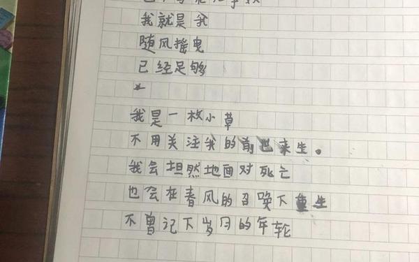 冷门又惊艳的现代诗(冰心的现代诗有哪些？)