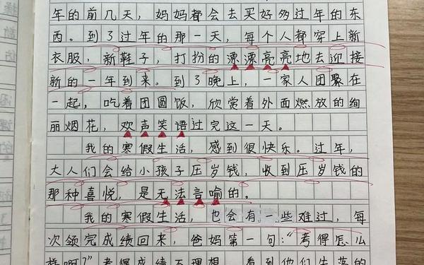 关于寒假的作文(我的寒假生活作文400字优秀范文)