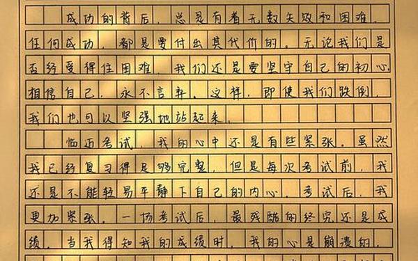 我们做了一个艰难的决定—一次艰难的决定作文600字