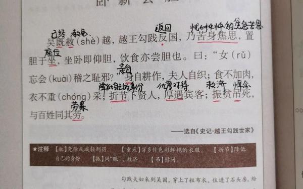 卧薪尝胆的典故_卧薪尝胆出自哪个典故
