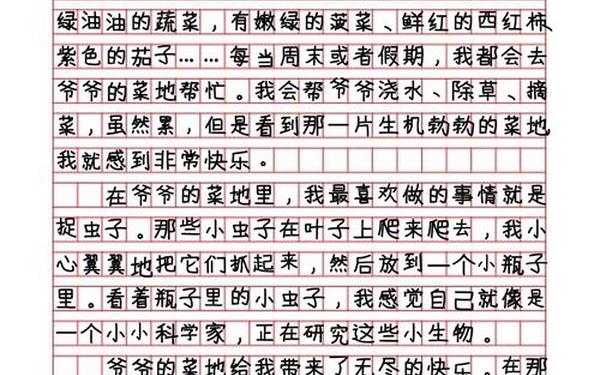 四年级优秀作文(4年级作文我的乐园400字)