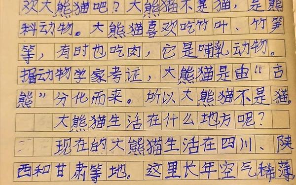 大熊猫作文300字优秀作文(描写熊猫的作文)