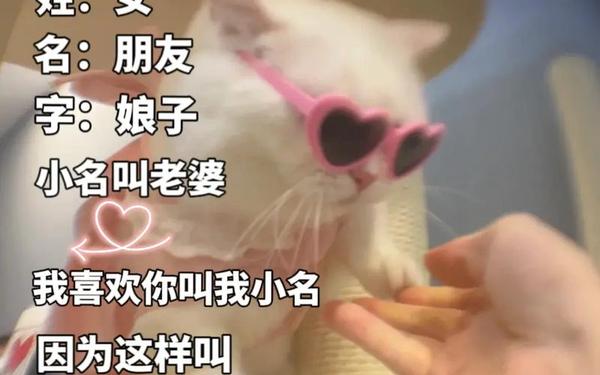 沙雕又可爱的自我介绍_沙雕扩列自我介绍