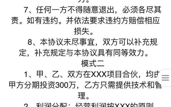 项目合作协议 合作利润分成合同