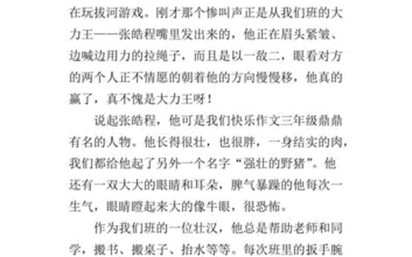 关于王力的作文-的力量作文400字