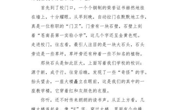 关于校园生活的作文 我的校园生活作文800字