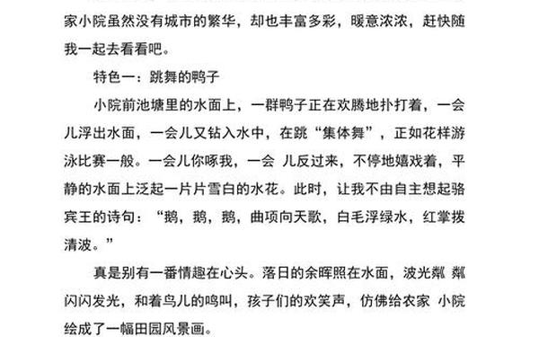 三年级优秀作文范文—三年级作文300字