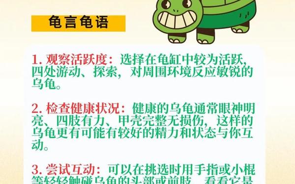 三只小乌龟的故事-小乌龟先向东爬5米,再向西爬2米