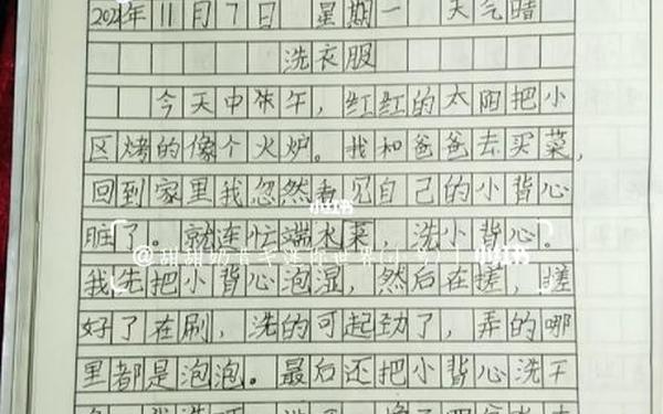 又好又短的日记100字(300字的日记)