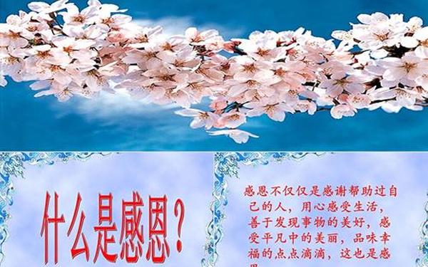 感恩教育主题班会ppt,感恩ppt优秀课件 感恩教育主题班会ppt,感恩ppt优秀课件