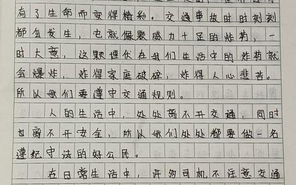 安全在我心中、安全征文