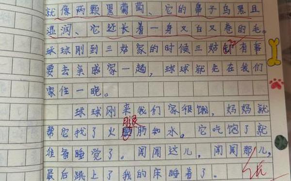 三年级日记100字30篇-三年级看图写话己日记格式100字