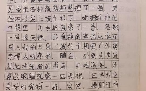 家庭风波400字作文(一场小风波作文)