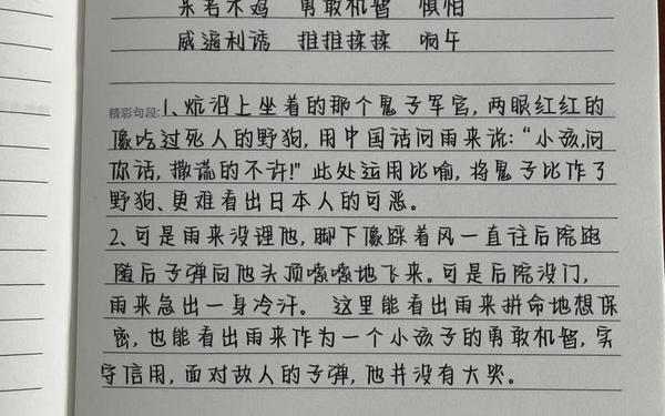 读书笔记300字、摘抄大全好句好段300字
