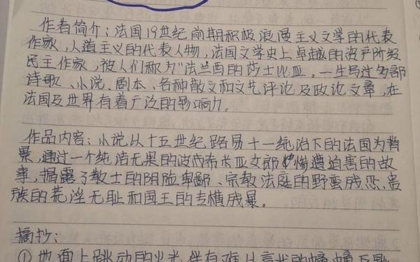 巴黎圣母院读书笔记,巴黎圣母院绘画