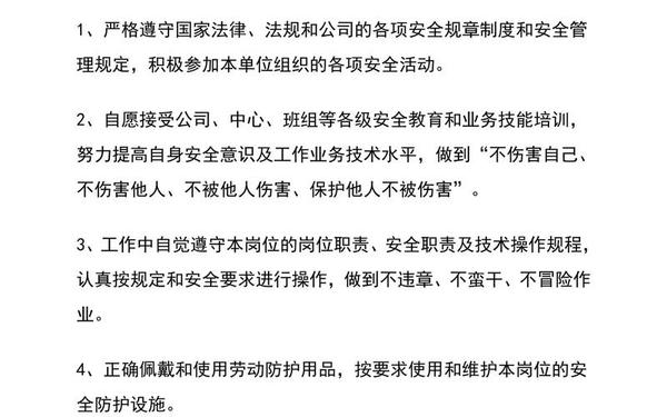 手写个人承诺书 员工安全承诺书