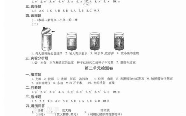 五年级科学上册教案—五上科学基础训练答案