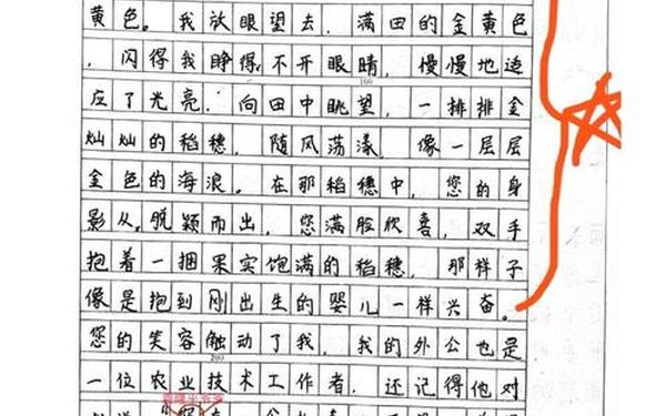 我想对您说五年级作文,小学生0分作文笑疯了好钱
