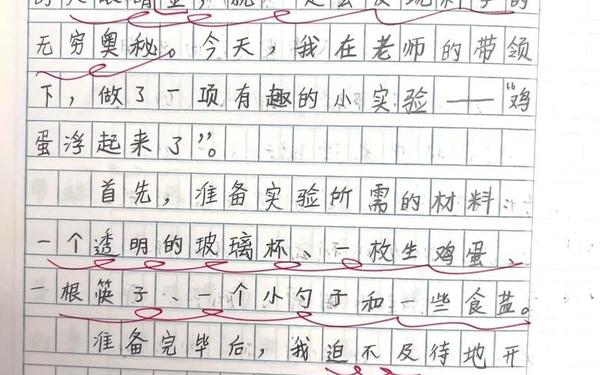 三年级小实验作文—做实验作文