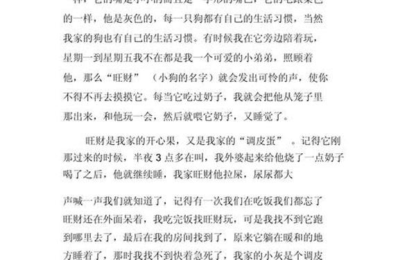 写物的作文400字-事物作文指什么内容