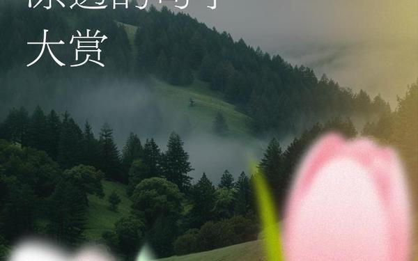 人心是慢慢变冷的句子、心是怎么凉的短语