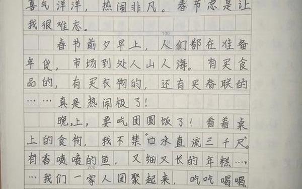 关于过春节的作文;以《春节》为主题的作文