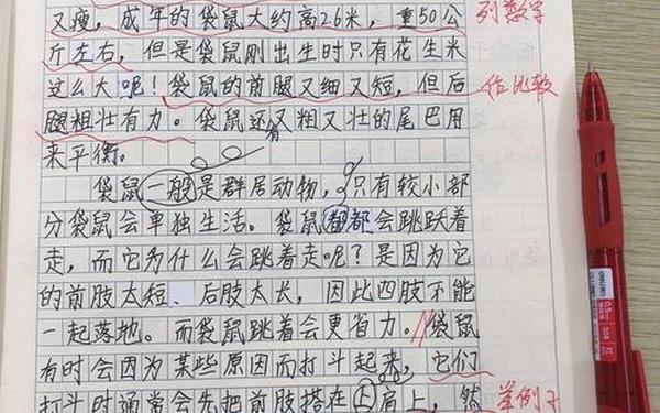 五年级说明文400字左右(说明文作文 五年级)