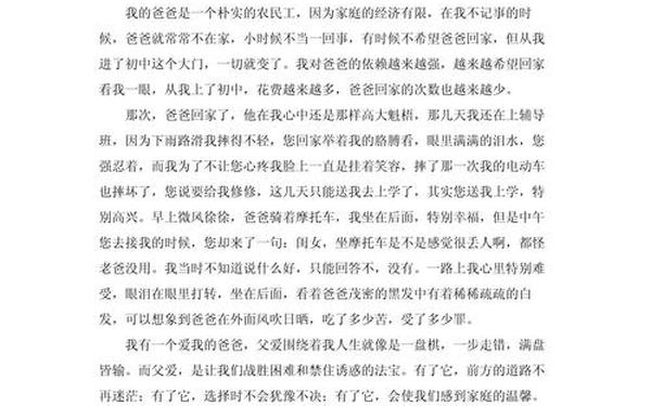 升起心中的太阳作文;我心中的太阳作文600写人