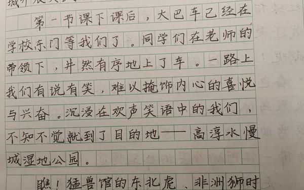 三年级旅游日记300字、春游日记300字三年级下册