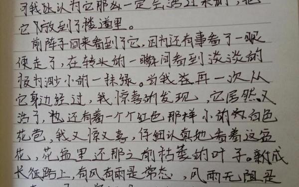 抄一篇普通的周记600字、写一篇描写人物的周记