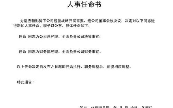 人事任命通知 公司人事任命文件