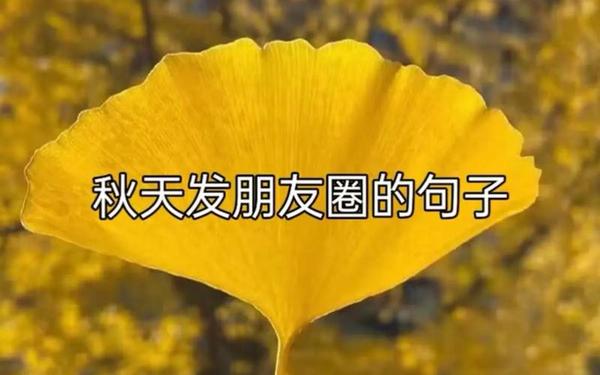 秋天感悟人生的短句;暖心的友情句子简短人生如秋