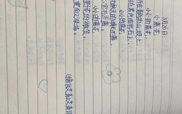 描写植物的诗歌-关于植物的现代诗歌有哪些