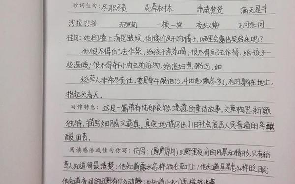 《稻草人》读书笔记摘抄;课外读书笔记摘抄大全100字
